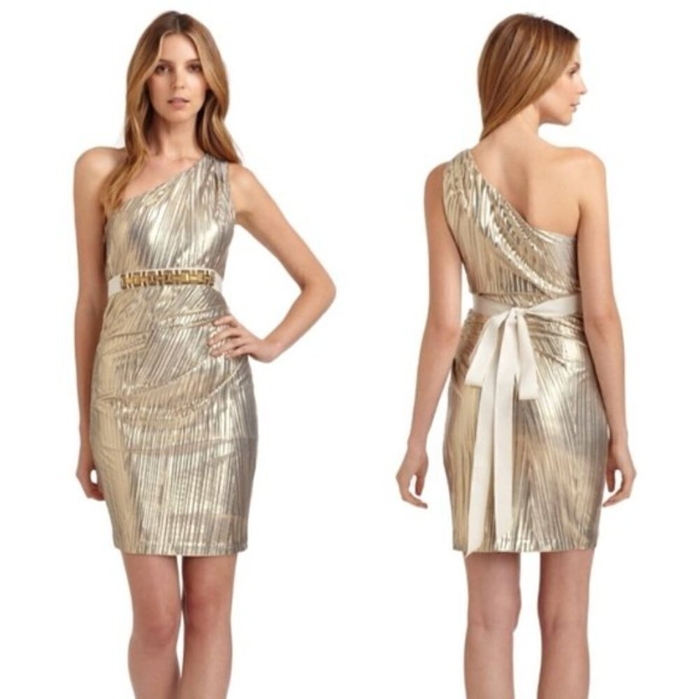 NEW Mark & James Badgley Mischka Metallic Dress